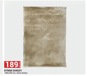 Dywan Shaggy