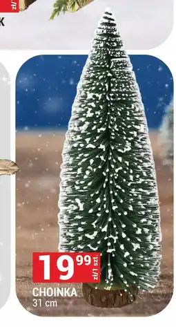 Merkury Market Choinka oferta