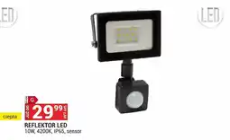 Merkury Market Reflektor LED oferta