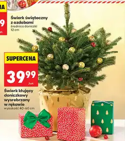 Biedronka Świerk oferta