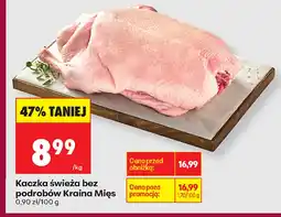 Biedronka Kaczka Kraina Mięs oferta