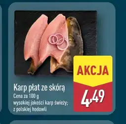 ALDI Karp oferta