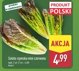 ALDI Sałata rzymska Polski oferta