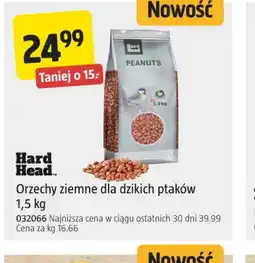 Jula Orzechy ziemne dla dzikich ptaków Hard Head oferta