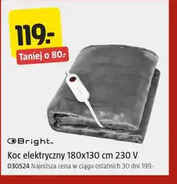 Jula Koc elektryczny oferta