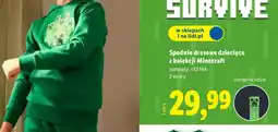 Lidl Spodnie dresowe dziecięce oferta