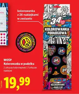 Lidl WOSP Kolorowanka w pudełku oferta