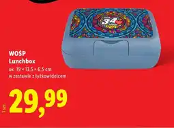 Lidl WOSP Lunchbox oferta