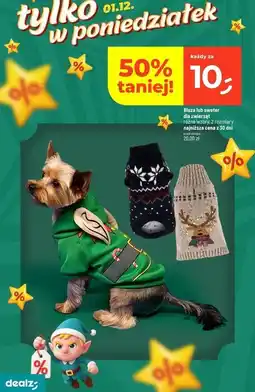 Dealz Sweter dla psa oferta
