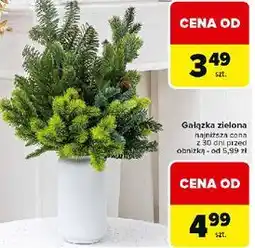 Carrefour Gałązka zielona oferta