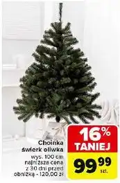Carrefour Choinka świerkowa oliwia oferta