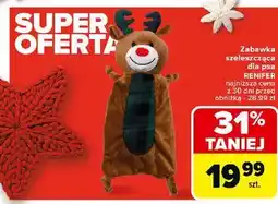 Carrefour Zabawka dla psa oferta