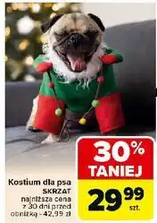 Carrefour Kostium dla psa oferta