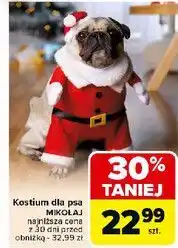 Carrefour Kostium dla psa mikołaj oferta