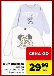 Carrefour Bluza dziecięca 3-14 lat oferta