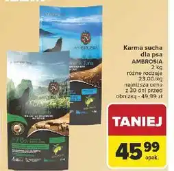 Carrefour Karma dla psa jagnięcina Ambrosia oferta