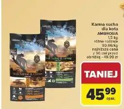 Carrefour Karma dla kota łosoś i kurczak Ambrosia oferta