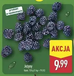 ALDI Jeżyny oferta