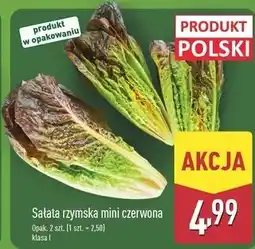 ALDI Sałata rzymska mini czerwona oferta