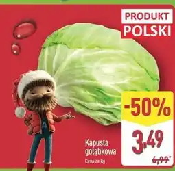 ALDI Kapusta gołąbkowa polska oferta
