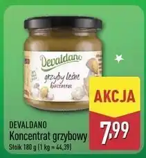 ALDI Grzyby leśne koncentrat Devaldano oferta