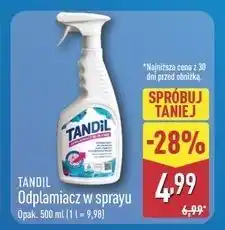 ALDI Odplamiacz Tandil oferta