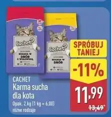 ALDI Karma dla kota drób + wołowina Cachet oferta