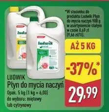 ALDI Płyn do naczyń cytrynowy Ludwik oferta