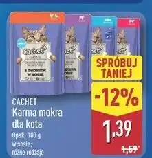 ALDI Karma dla kota ryba Cachet oferta