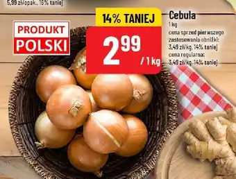 Cebula POLOmarket