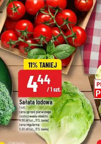 Sałata lodowa POLOmarket