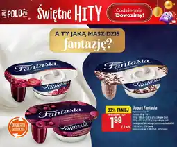 Polomarket Jogurt Fantasia wybrane rodzaje oferta