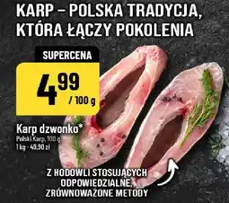 Polomarket Karp dzwonko Polski Karp POLOmarket oferta
