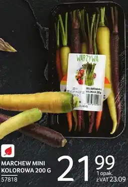 Selgros Marchew mini kolorowa 200 g Selgros oferta