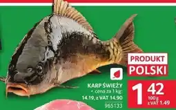Selgros Karp świeży Selgros oferta