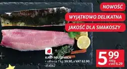 Selgros Karp polędwica Selgros oferta