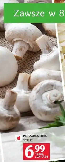 Selgros Pieczarka Selgros oferta