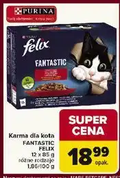 Carrefour Karma dla kota wiejskie smaki Purina Felix Fantastic oferta