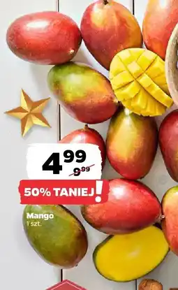 Netto Mango Netto oferta