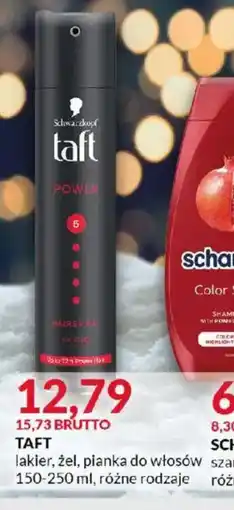 Eurocash TAFT oferta