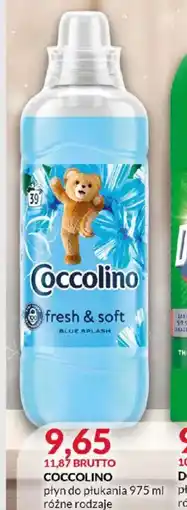 Eurocash Coccolino oferta