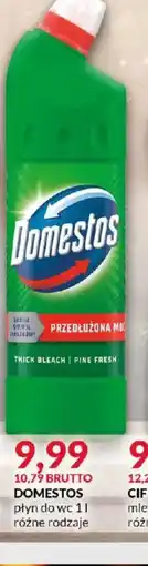 Eurocash Domestos oferta
