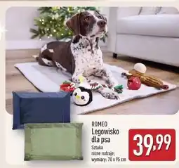 ALDI Legowisko dla psa 70 x 95 cm Romeo oferta