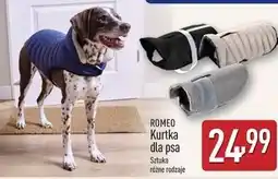 ALDI Kurtka dla psa Romeo oferta