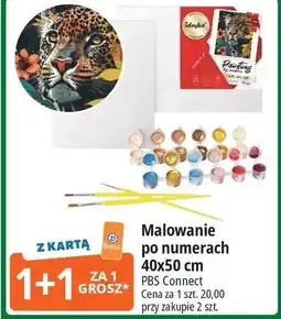 E.Leclerc Malowanie po numerkach 40 x 50 cm Pbs Connect Polska oferta