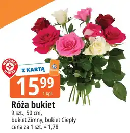 E.Leclerc Róże 50 cm oferta