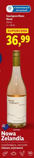 Lidl Wino wytrawne sauvignon blanc River Terrace oferta