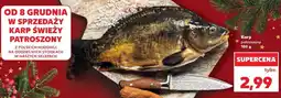Kaufland Karp patroszony 100g Kaufland oferta