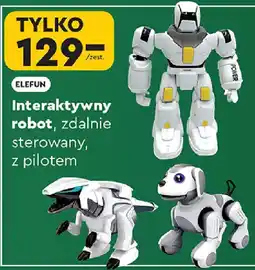 Biedronka ELEFUN Interaktywny robot, zdalnie sterowany, z pilotem oferta