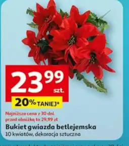 Auchan Bukiet gwiazda betlejemska oferta
